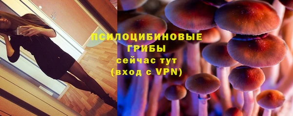 PSILOCYBIN Бородино