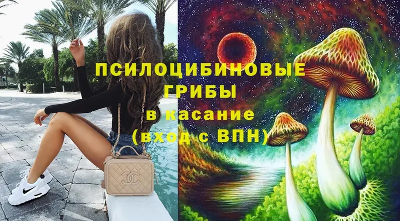 купить закладку  кракен вход  Галлюциногенные грибы Psilocybe  Кремёнки 